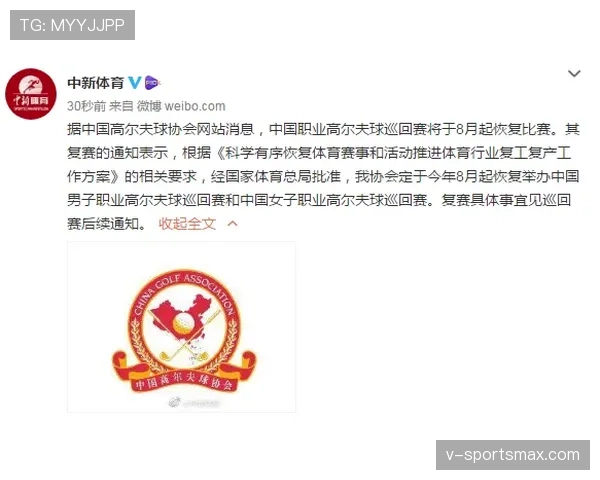 延误恢复比赛的规则细节解析,裁判如何判罚才公平? 延误恢复比赛的规则细节解析,裁判如何判罚才公平?